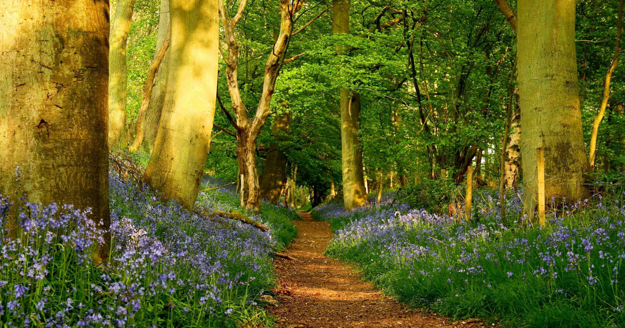 Luxury property developers and land acquisition in Sussex and Surrey