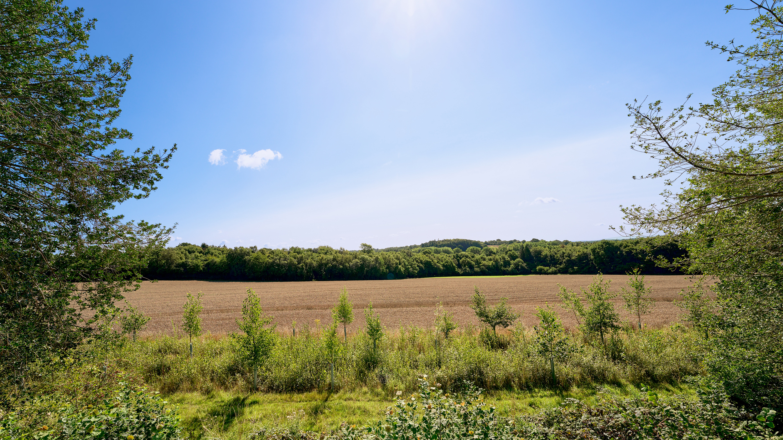 Boughtonwood Homes Land Acquisition