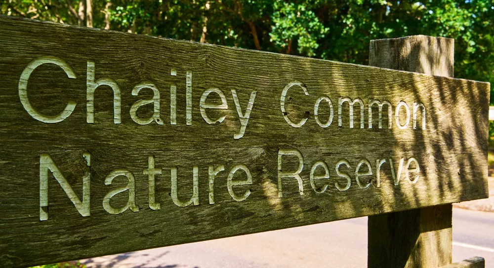 Bluebell Rise North Chailey building development by Boughtonwood Homes