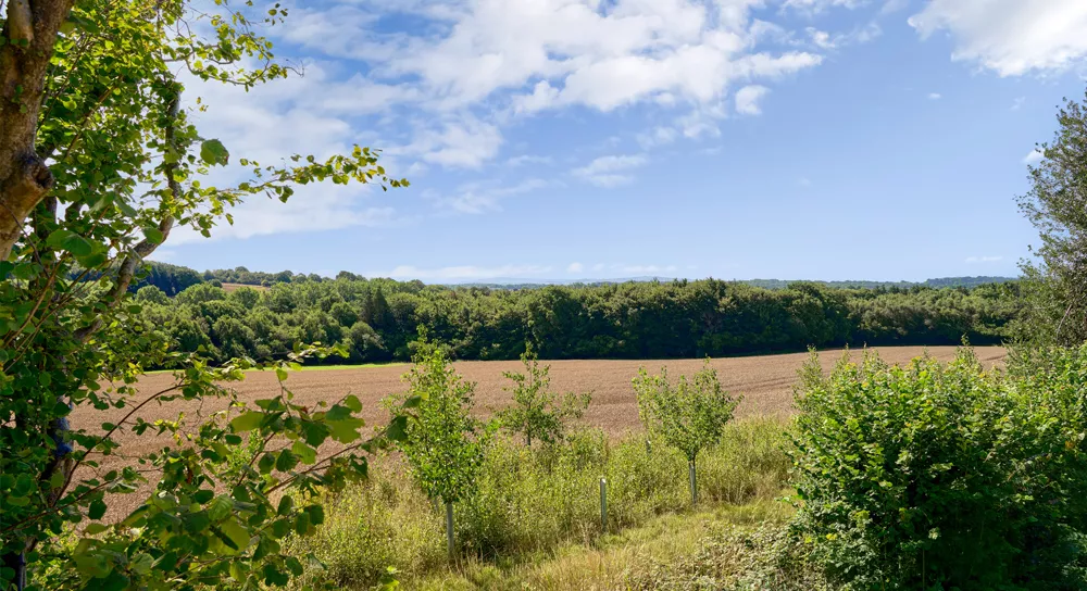 Bluebell Rise housing development from Boughtonwood Homes