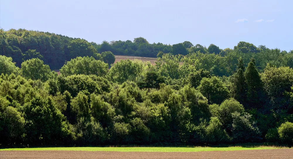 Bluebell Rise housing development from Boughtonwood Homes